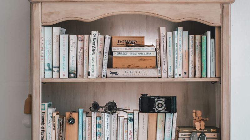 Bookshelf 2 Pexels Taryn Elliott 4440123