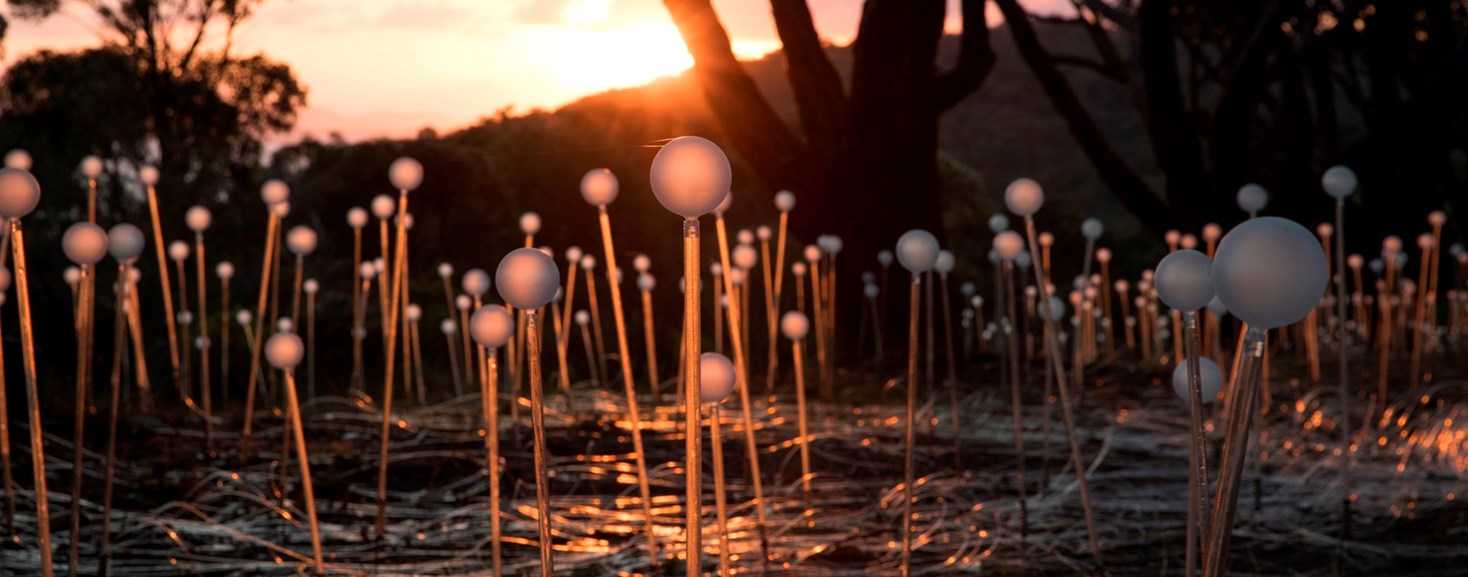 Field Of Light Avenue Of Honour, Bruce Munro, Albany, 2018. Photograph By Mark Pickthall, Courtesy Of The Bruce Munro Studio. (17)