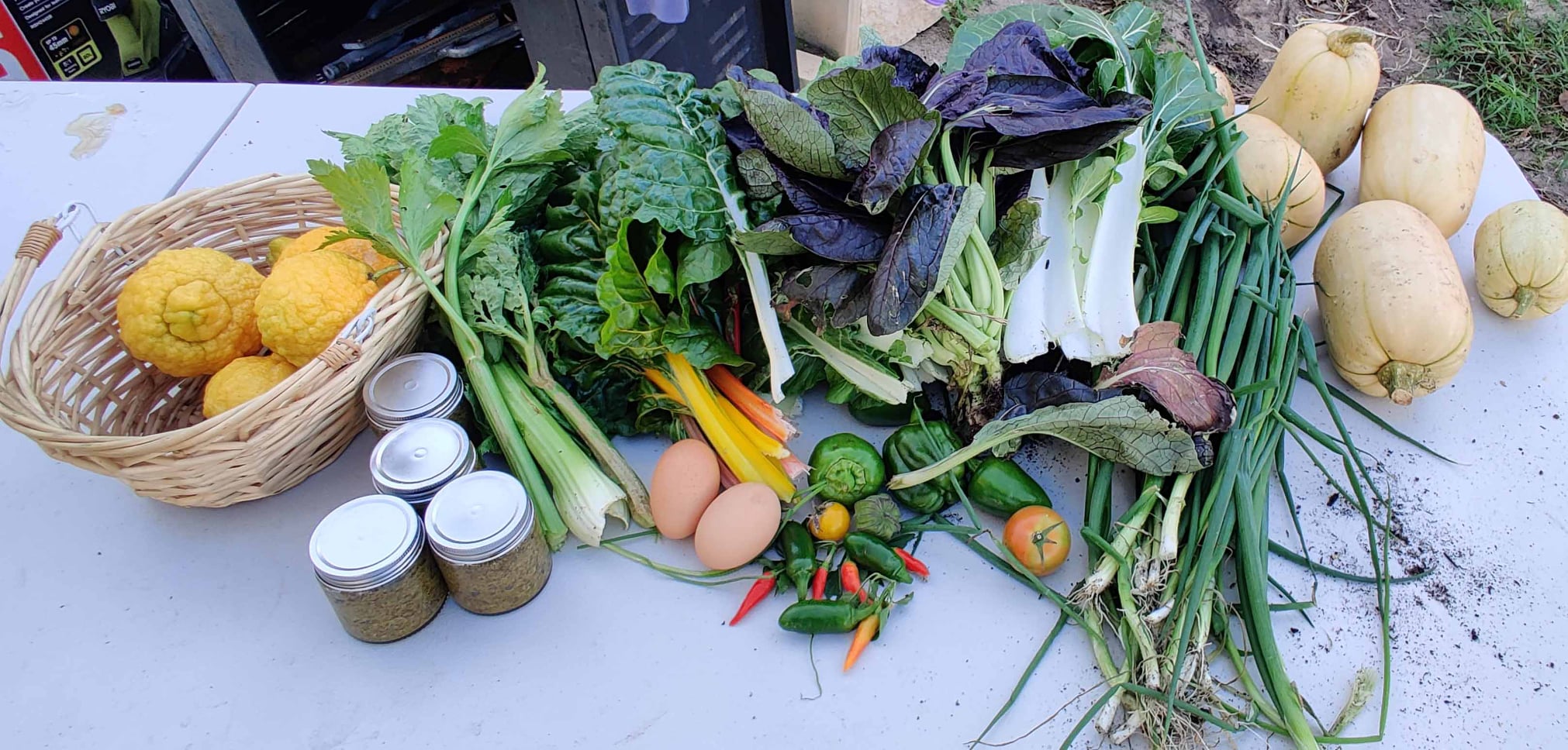 420173309 Wanneroo And Northern Suburbs Community Garden 3