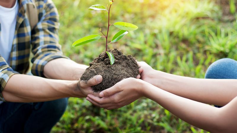 Paper Trails With Purpose Adobestock 191487976