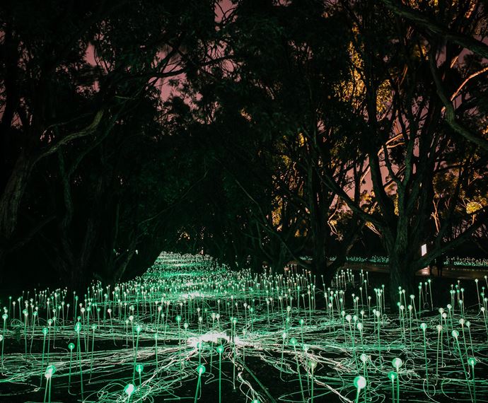 5600861D 5930 476E B9ae 706D060a188f Fol 3